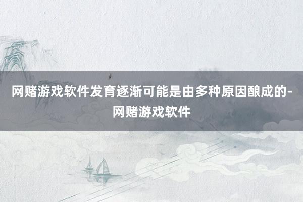 网赌游戏软件发育逐渐可能是由多种原因酿成的-网赌游戏软件