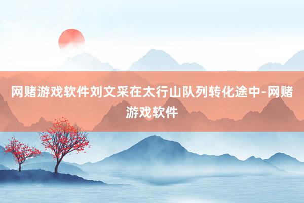 网赌游戏软件刘文采在太行山队列转化途中-网赌游戏软件