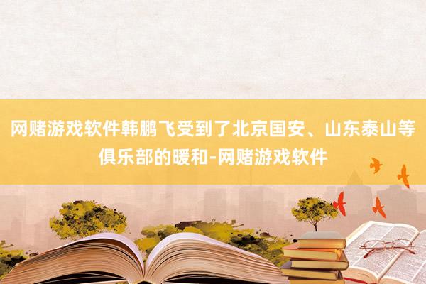 网赌游戏软件韩鹏飞受到了北京国安、山东泰山等俱乐部的暖和-网赌游戏软件
