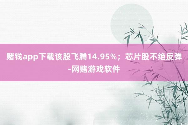 赌钱app下载该股飞腾14.95%；芯片股不绝反弹-网赌游戏软件