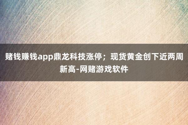 赌钱赚钱app鼎龙科技涨停；现货黄金创下近两周新高-网赌游戏软件