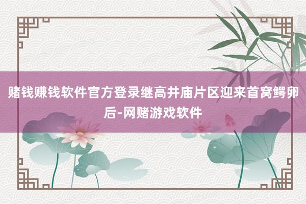 赌钱赚钱软件官方登录继高井庙片区迎来首窝鳄卵后-网赌游戏软件