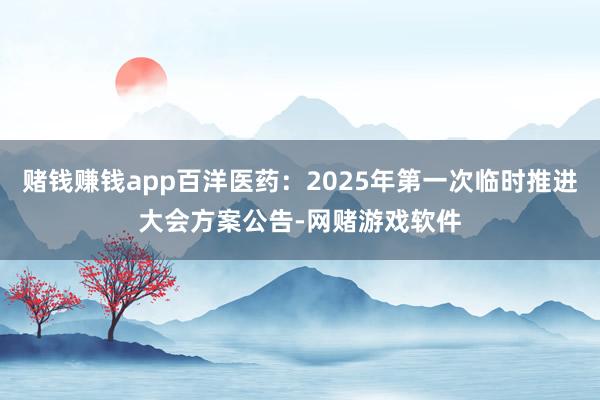 赌钱赚钱app百洋医药：2025年第一次临时推进大会方案公告-网赌游戏软件