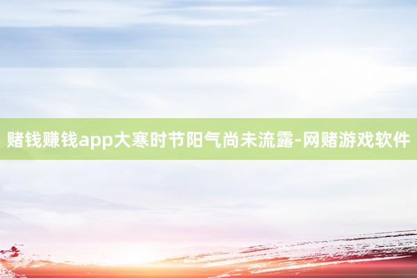 赌钱赚钱app大寒时节阳气尚未流露-网赌游戏软件