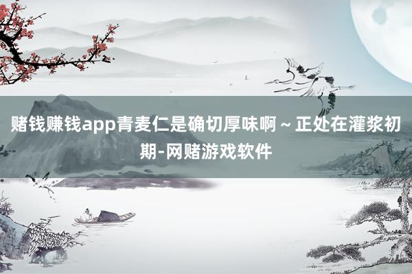 赌钱赚钱app青麦仁是确切厚味啊～正处在灌浆初期-网赌游戏软件