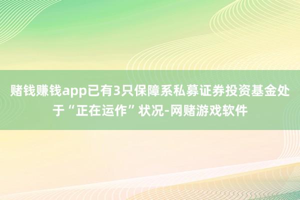 赌钱赚钱app已有3只保障系私募证券投资基金处于“正在运作”状况-网赌游戏软件