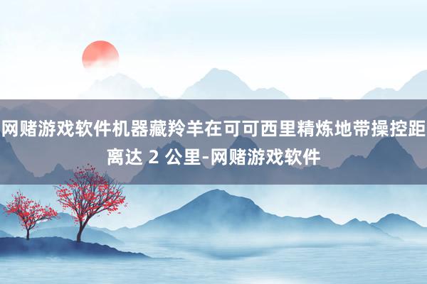 网赌游戏软件机器藏羚羊在可可西里精炼地带操控距离达 2 公里-网赌游戏软件