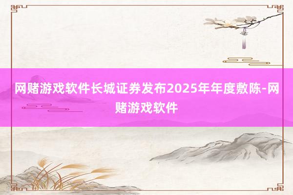 网赌游戏软件长城证券发布2025年年度敷陈-网赌游戏软件