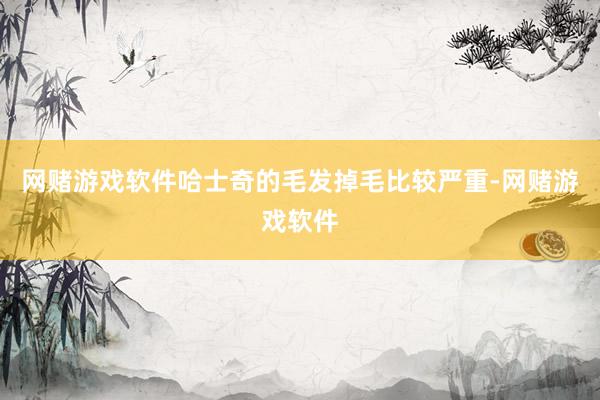 网赌游戏软件哈士奇的毛发掉毛比较严重-网赌游戏软件