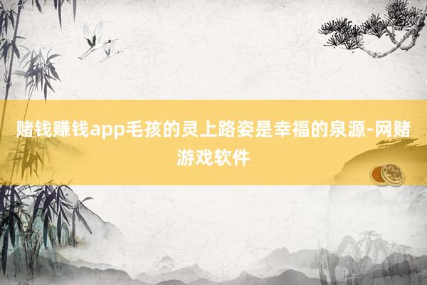 赌钱赚钱app毛孩的灵上路姿是幸福的泉源-网赌游戏软件