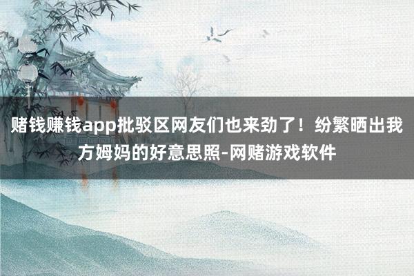 赌钱赚钱app批驳区网友们也来劲了！纷繁晒出我方姆妈的好意思照-网赌游戏软件