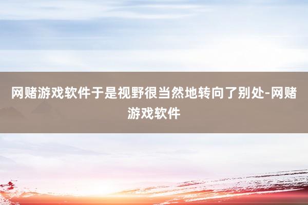 网赌游戏软件于是视野很当然地转向了别处-网赌游戏软件